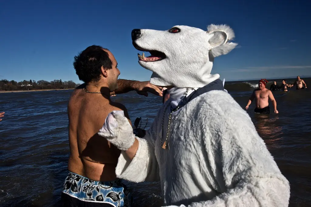 New Year's plunge: a shirtless swimmer squares off with someone in a full polar-bear suit, waist-deep in Lake Michigan.