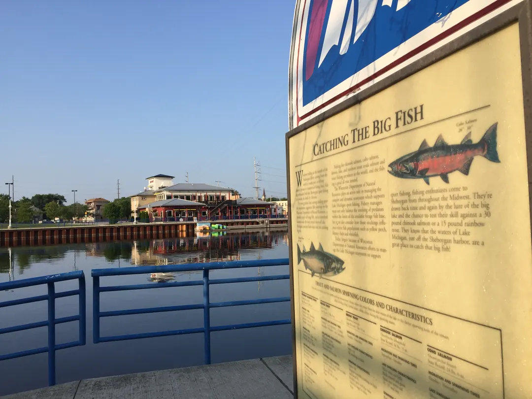 Basin riverside boardwalk, Catching The Big Fish sign. Photo: Michael Brunette.